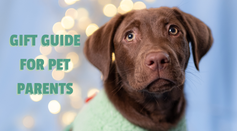 Gift Guide For Pet Parents
